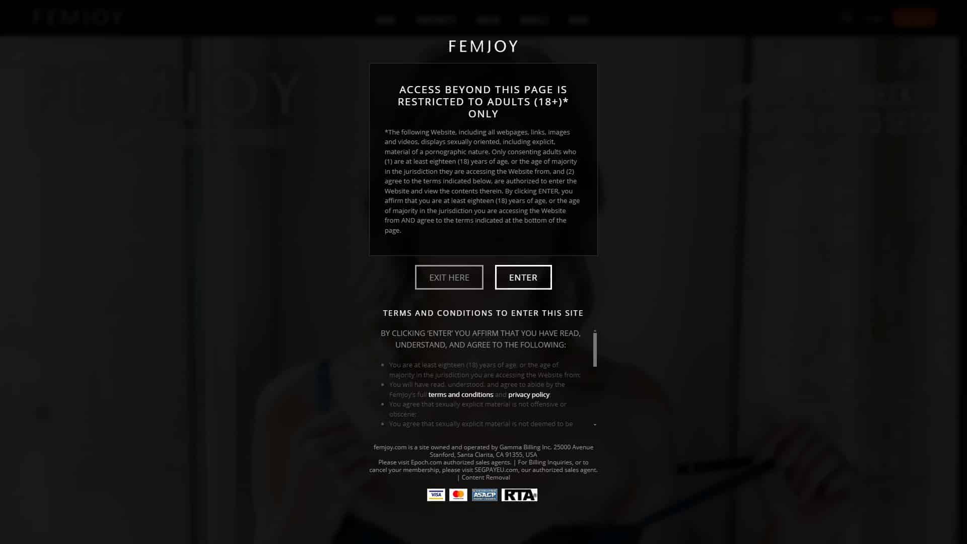 Screenshot of Femjoy