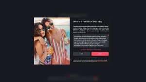 This is the : Flirtback-homepage