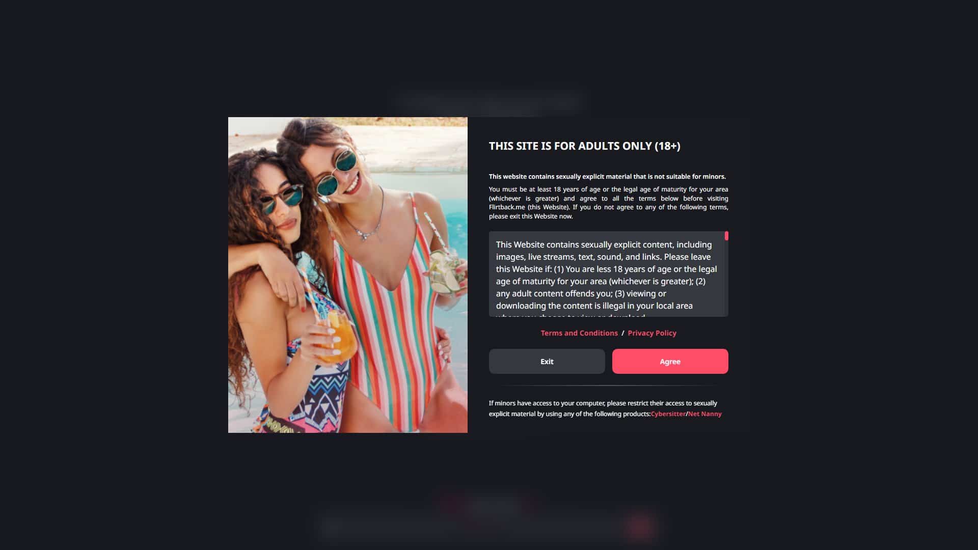 Screenshot of Flirtback