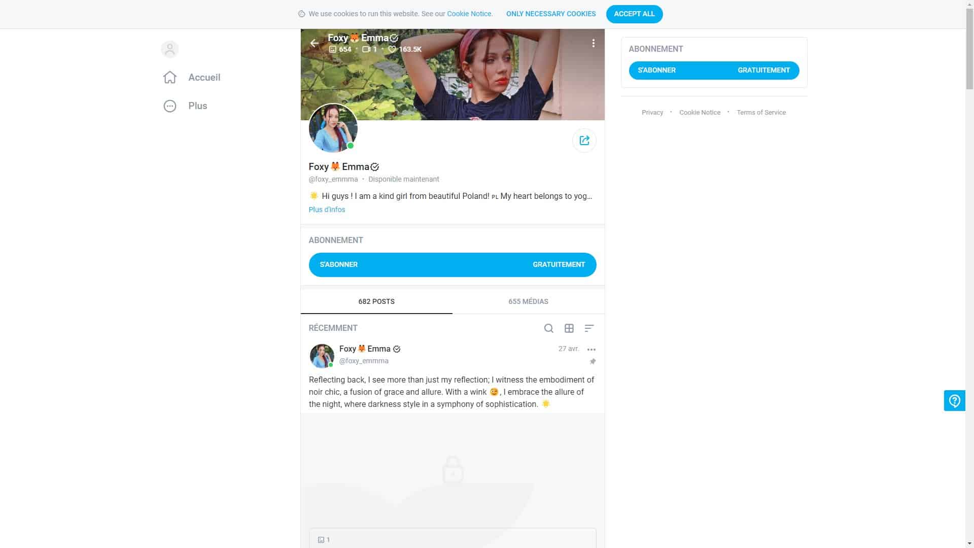 Screenshot of Foxy Emma