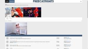 This is the : Freecatfights-homepage
