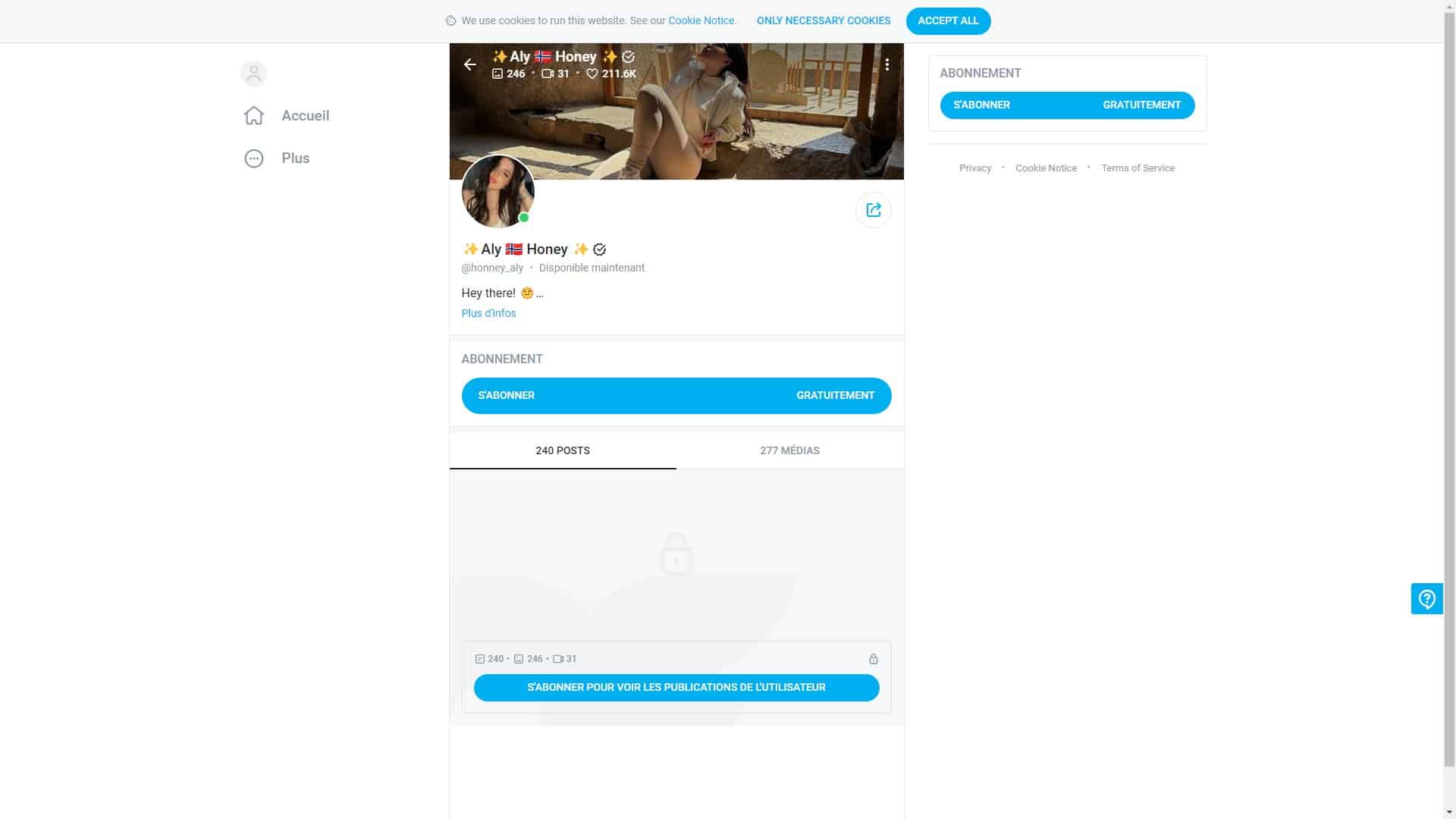 Screenshot of Honney Aly