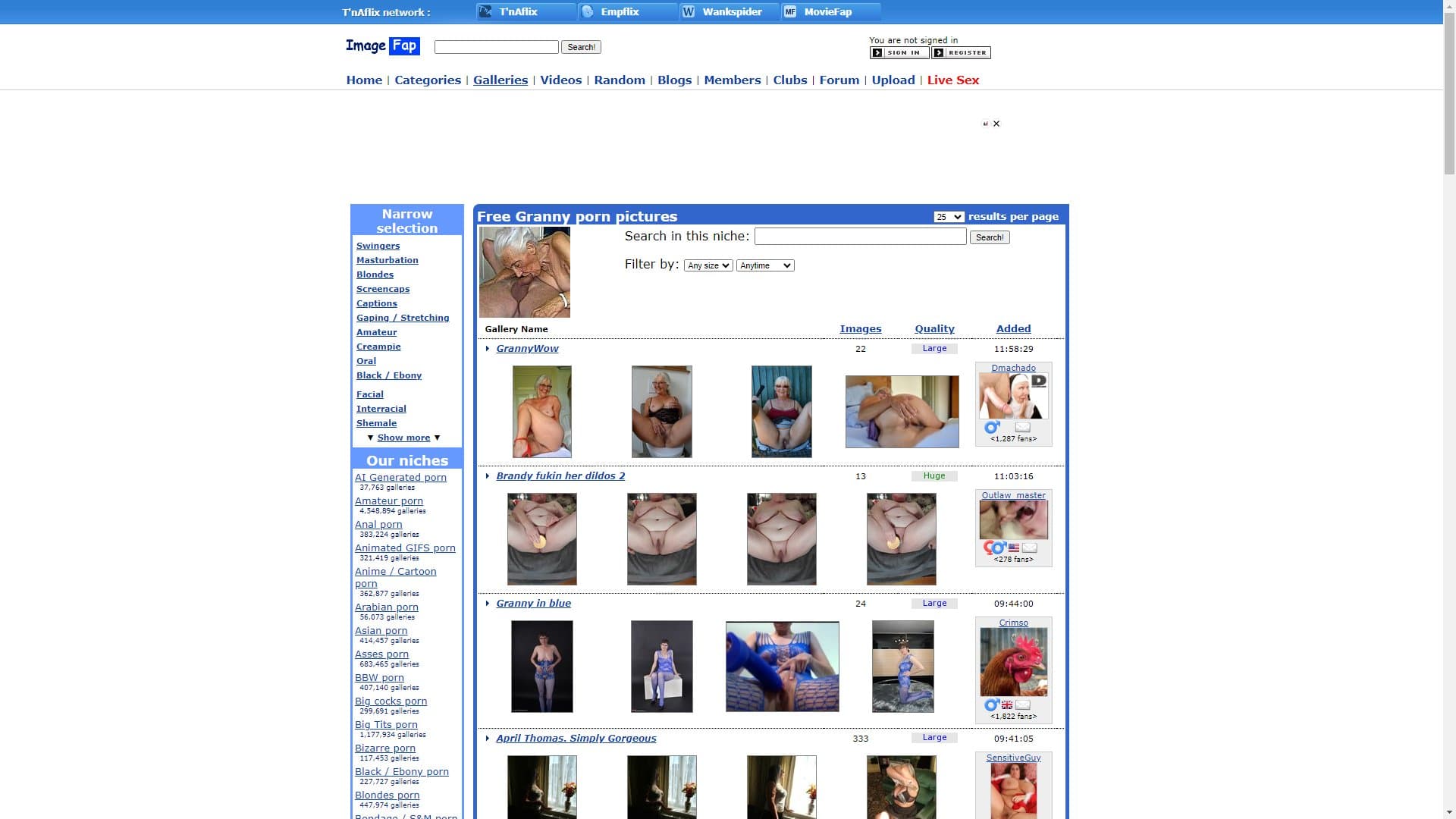 Screenshot of Imagefap Granny