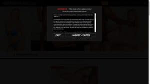 This is the : Interracialpass-homepage