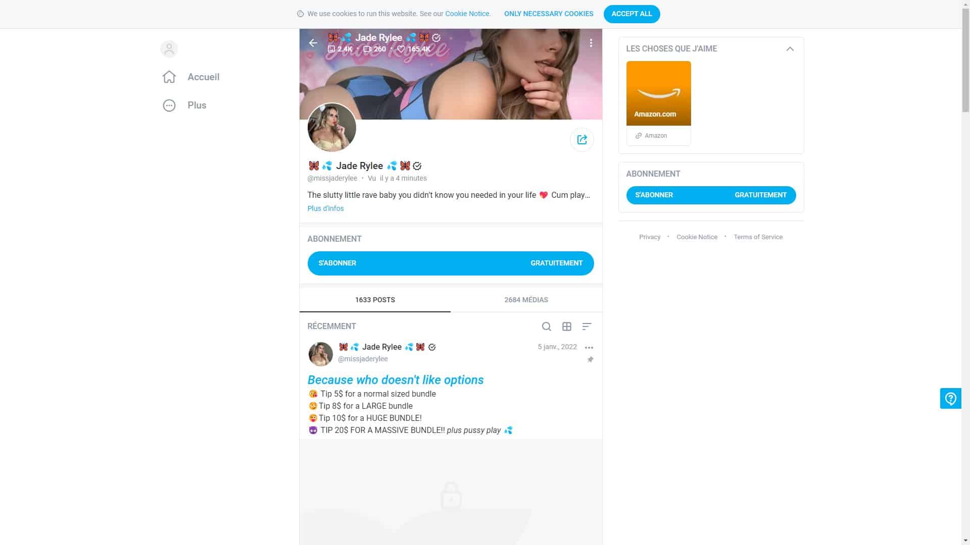 Screenshot of Jade Rylee