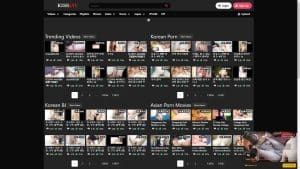 This is the : Kissjav-Shyav-homepage