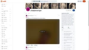 This is the : Ladybonersgw-homepage