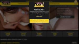 This is the : Ladyboygold-homepage