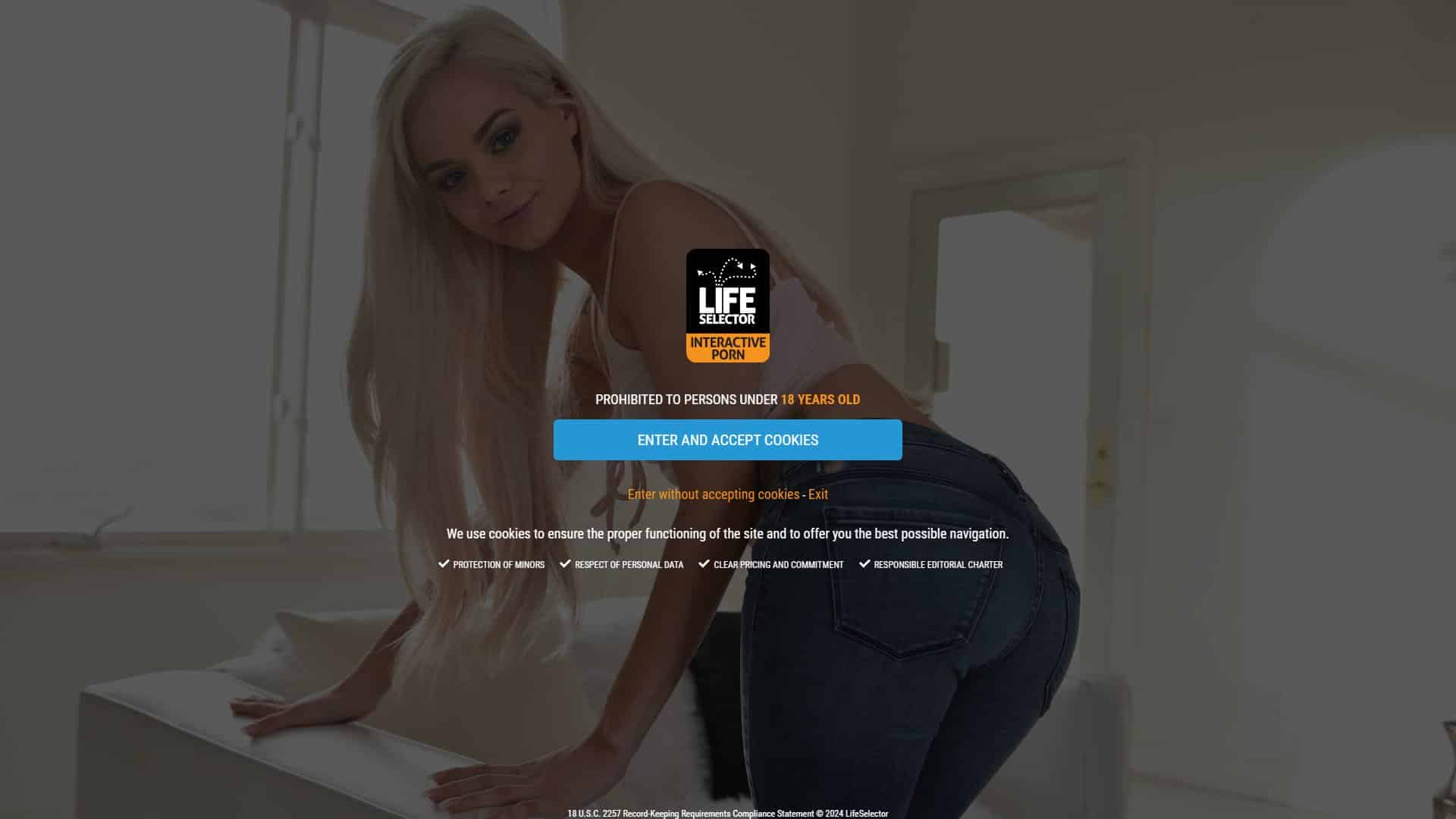Screenshot of Lifeselector