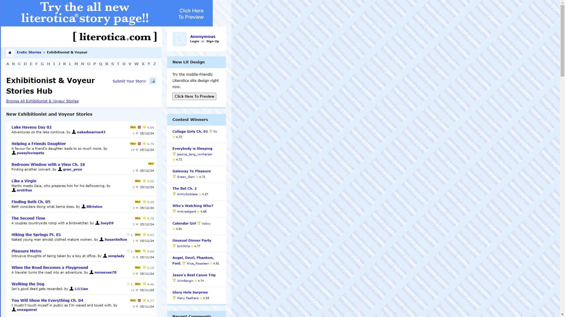 Screenshot of Literotica Voyeur (Fake)