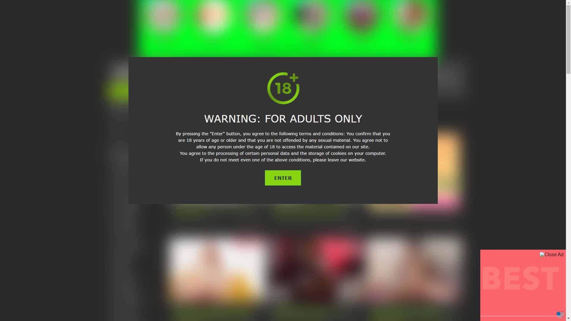 Screenshot of Longporn