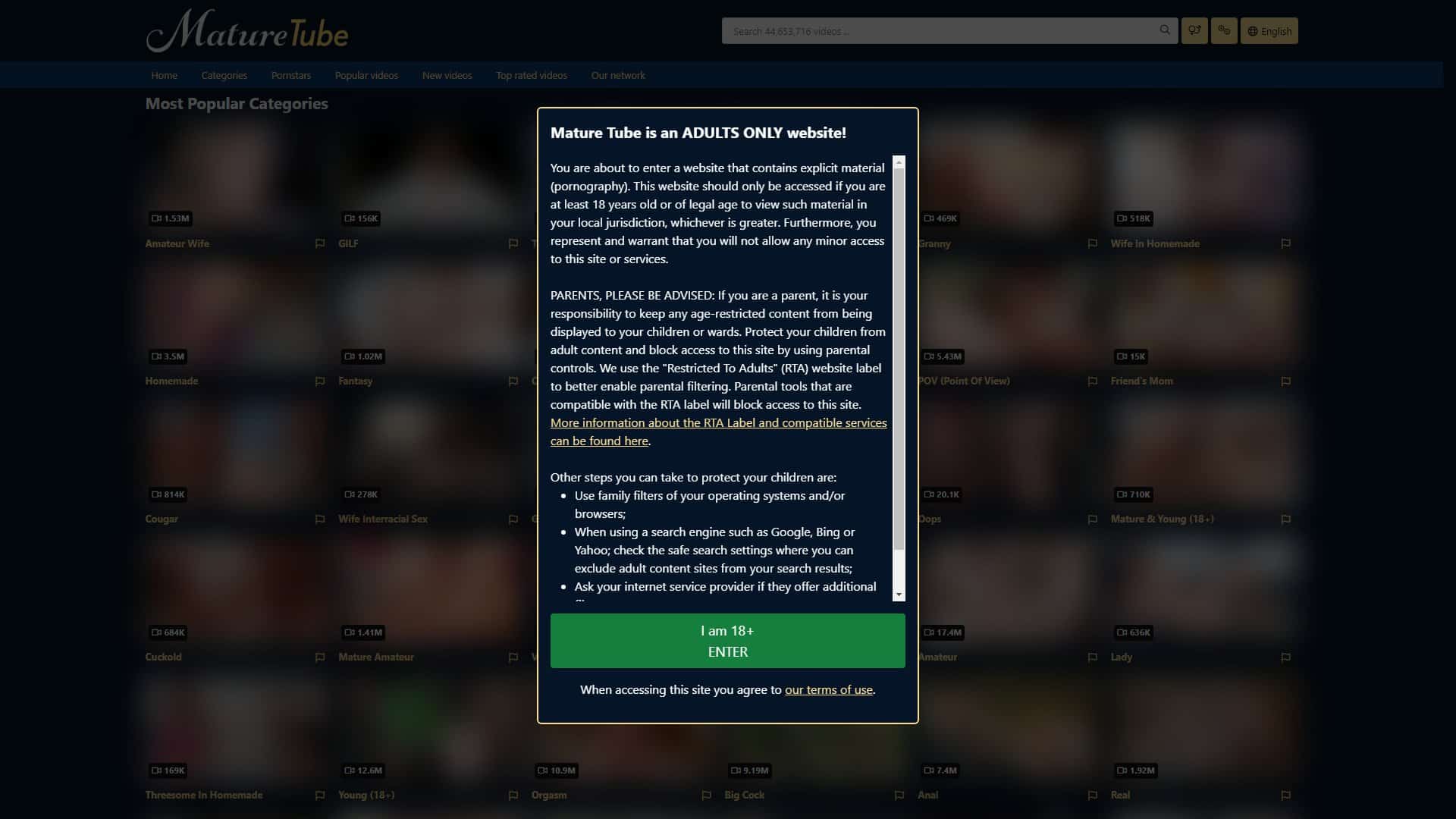 Screenshot of Mature Tube