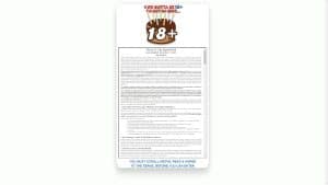 This is the : Megapersonals-homepage