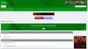 This is the : Merb-homepage