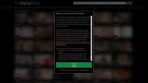 This is the : Metaporn-homepage