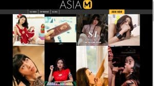 This is the : Model-Media-Asia-homepage