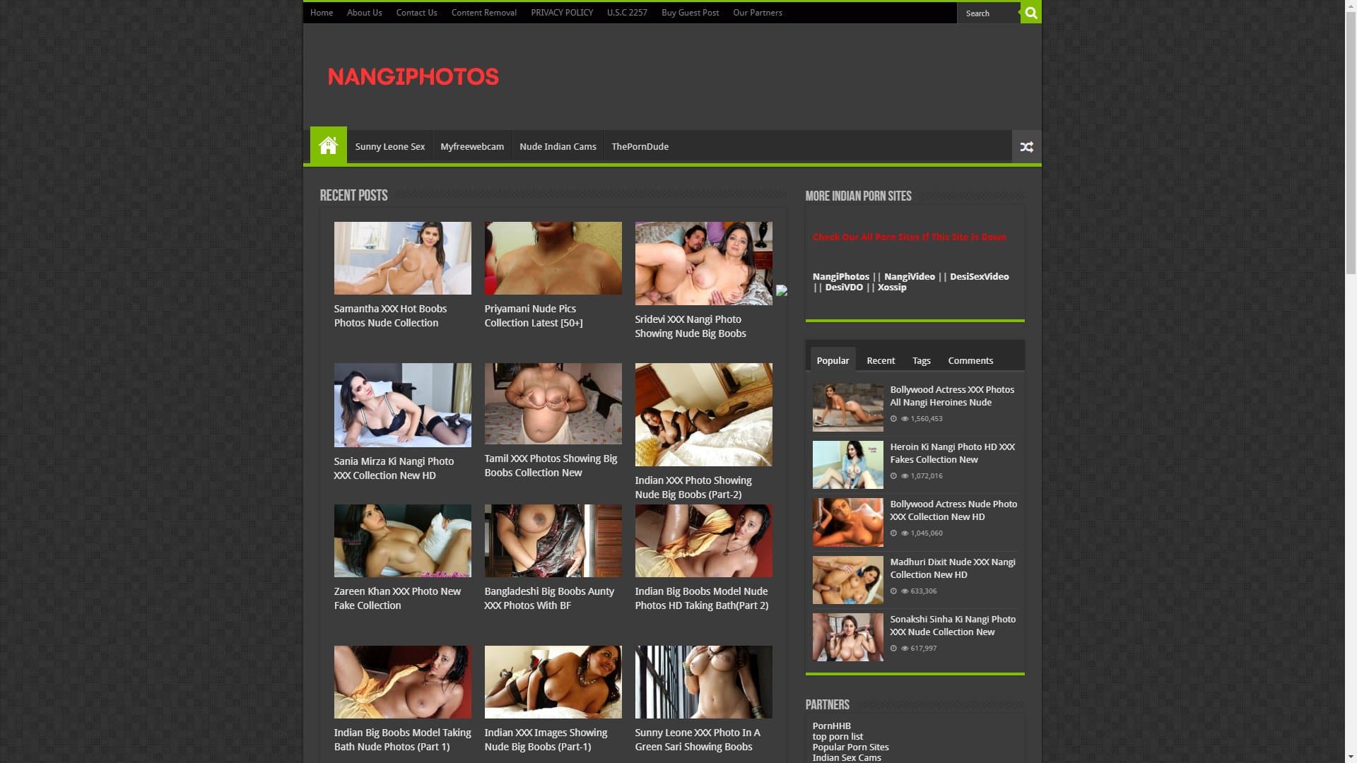 Screenshot of Nangiphotos