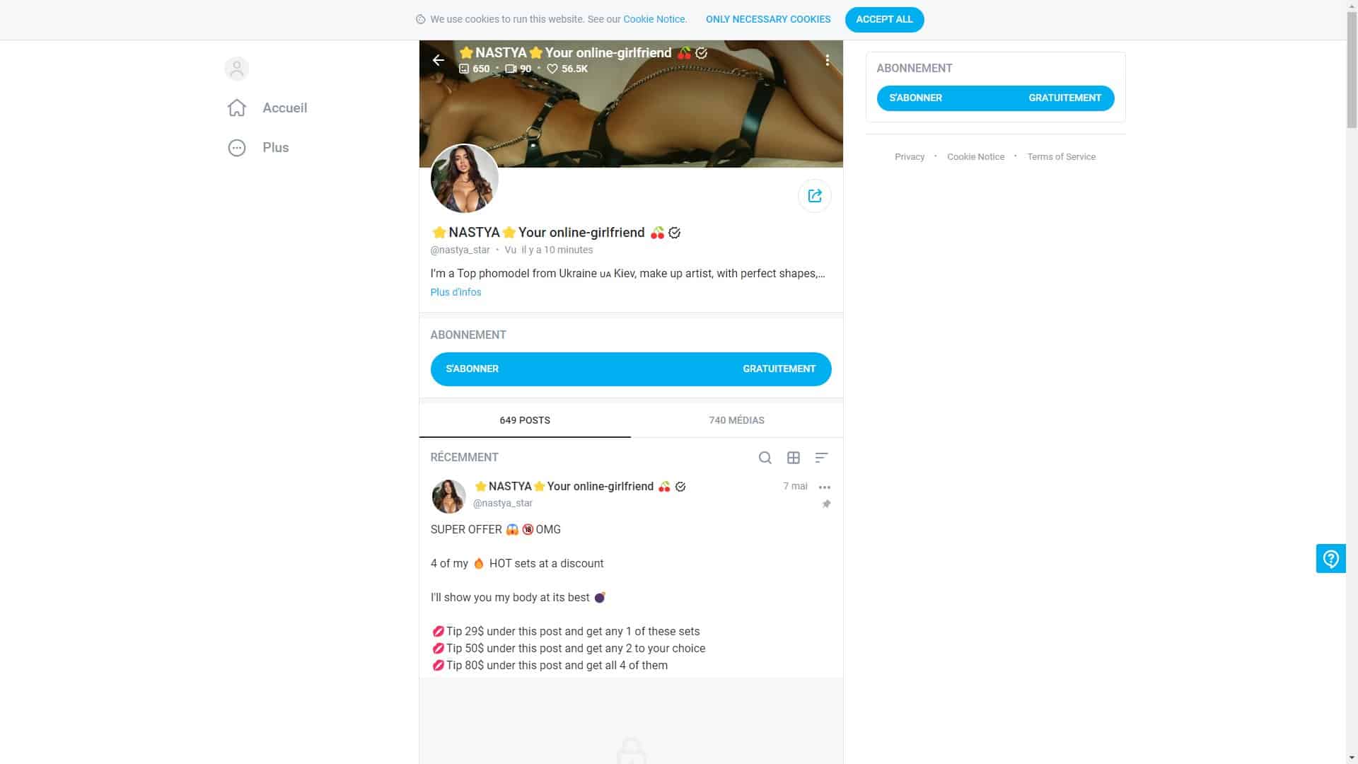 Screenshot of Nastya Star