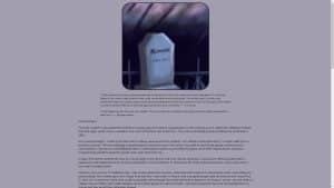 This is the : Omegle-homepage