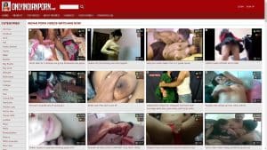 This is the : Onlyindianporn-homepage
