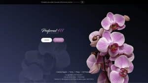 This is the : P411-Preferred411-homepage
