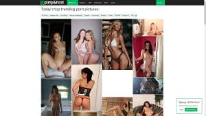 This is the : Pimpandhost-homepage