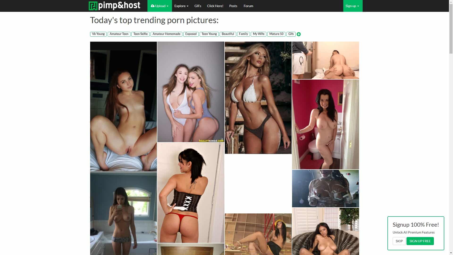 Screenshot of Pimpandhost