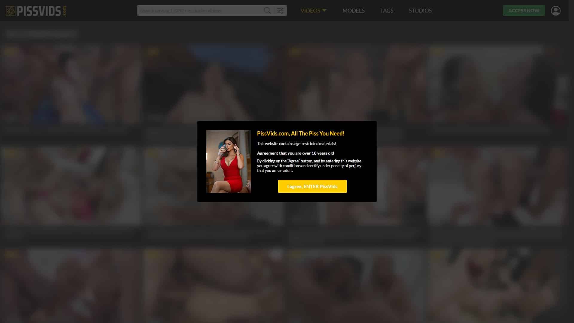 Screenshot of Piss Vids