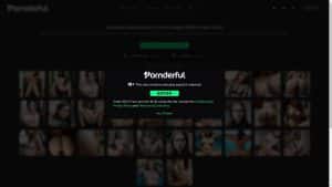 This is the : Pornderful-Fake-homepage