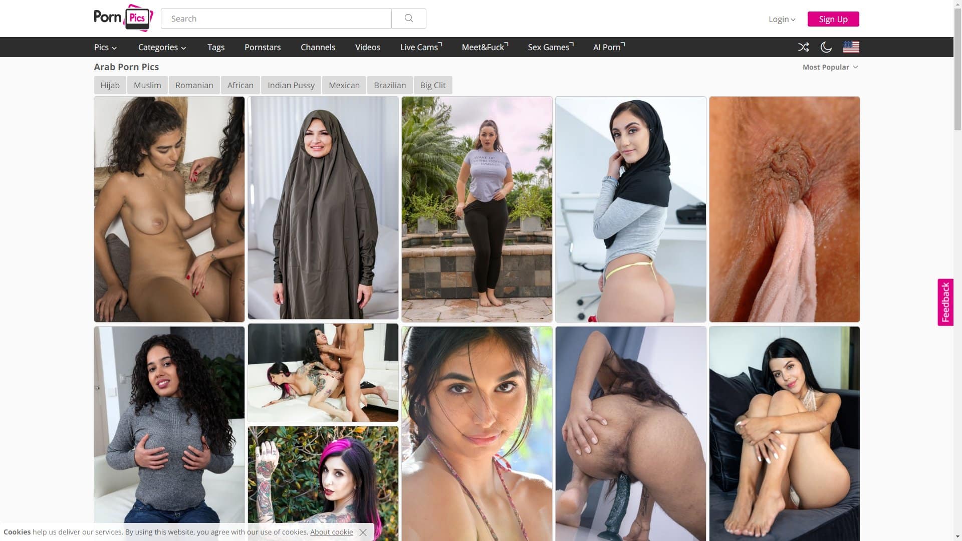 Screenshot of Pornpics Arab