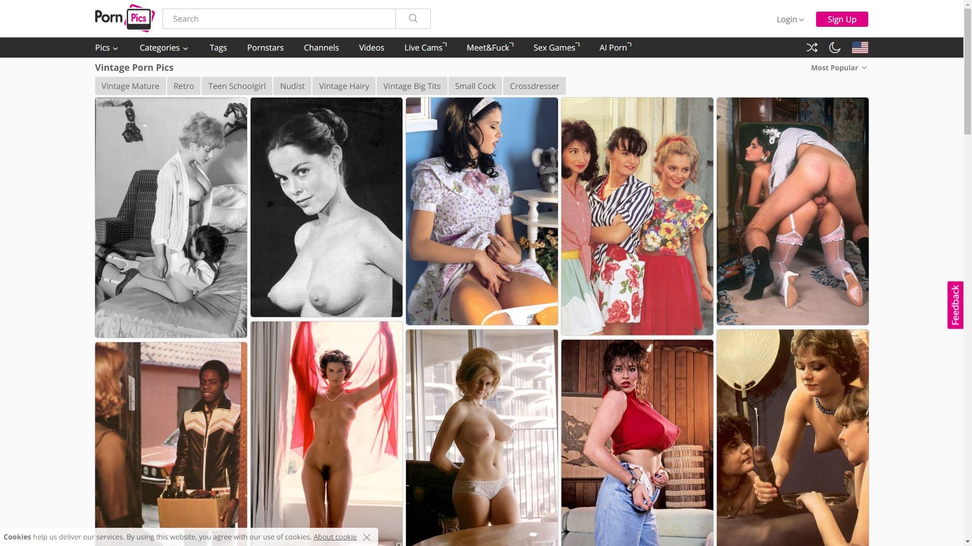 Screenshot of Pornpics Vintage