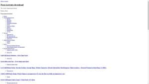 This is the : Ptorrents-homepage