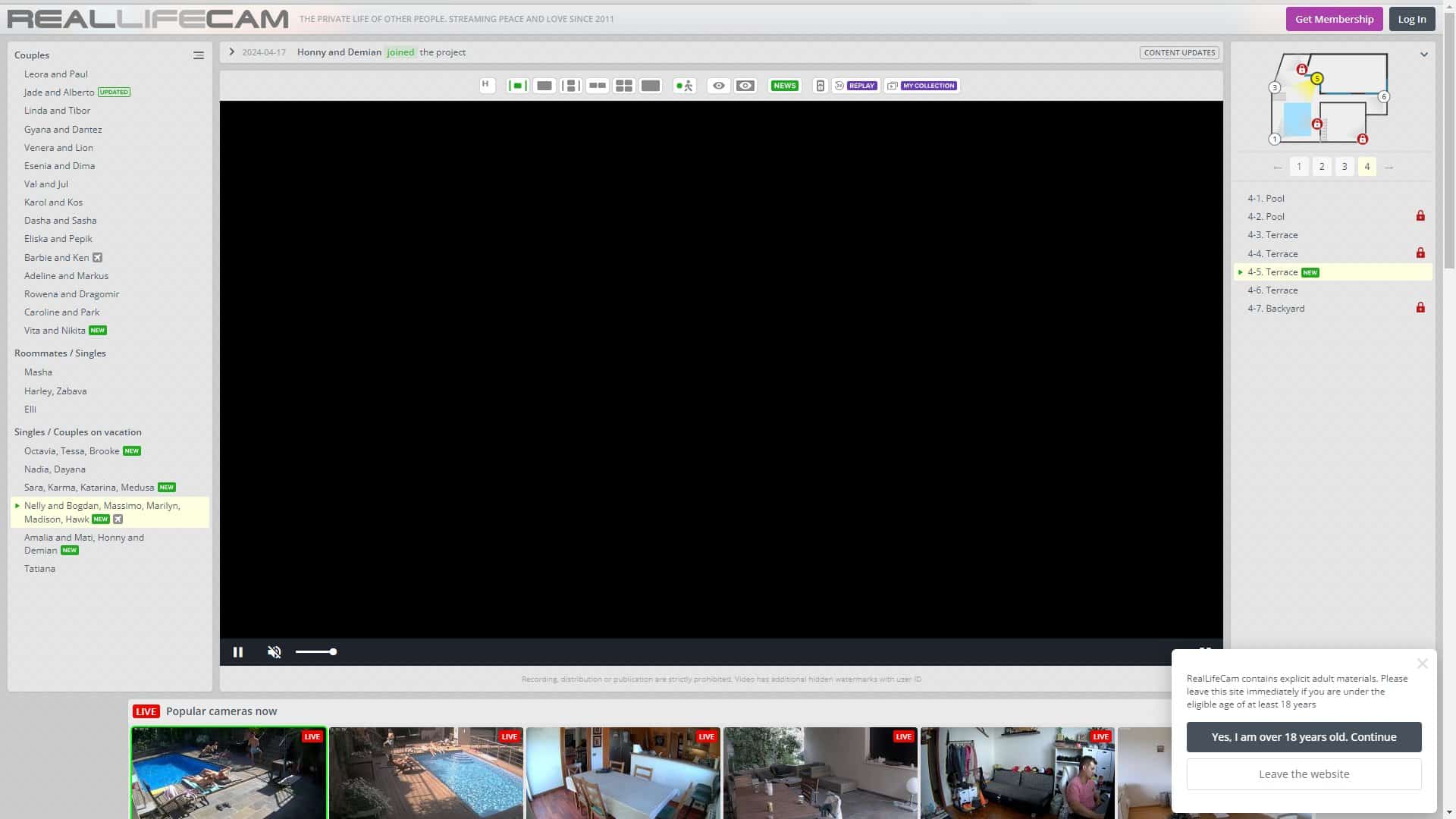 Screenshot of Reallifecam (Fake)