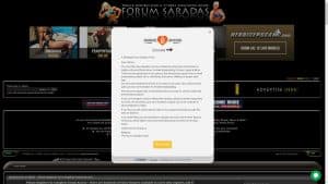 This is the : Saradas-homepage