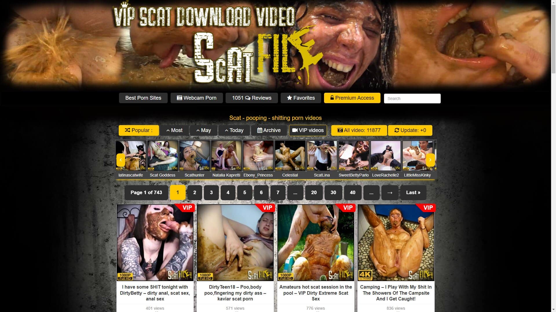 Screenshot of Scatfile