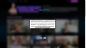 This is the : Sexselector-homepage