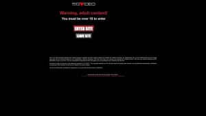 This is the : Sg-Video-homepage