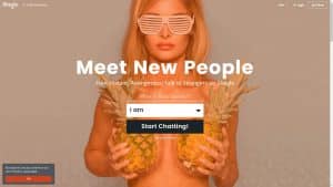 This is the : Shagle-homepage