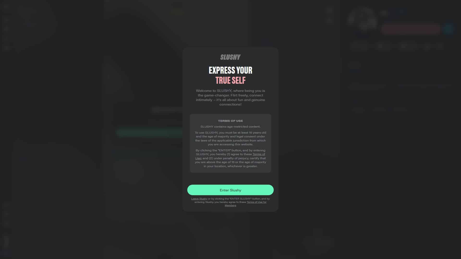 Screenshot of Slushy