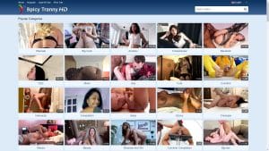 This is the : Spicytrannyhd-homepage