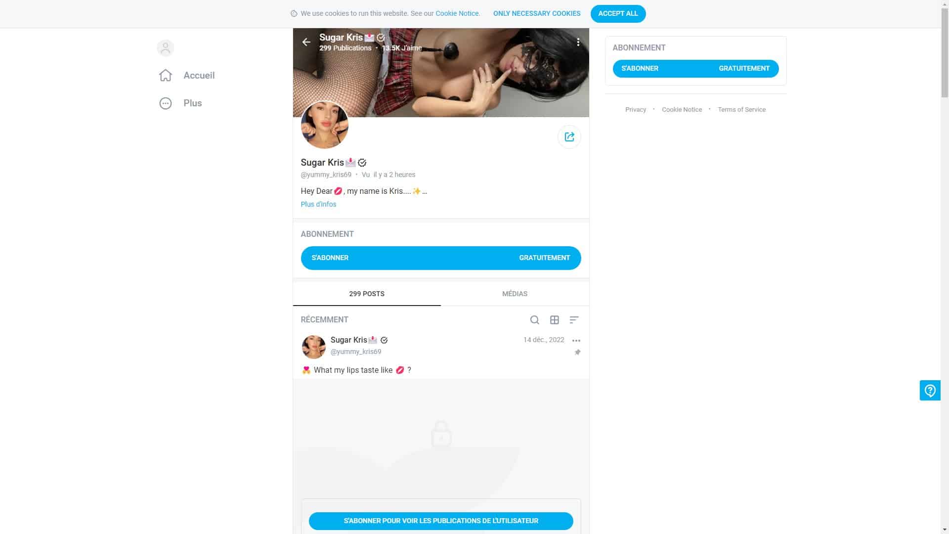 Screenshot of Sugar Kris