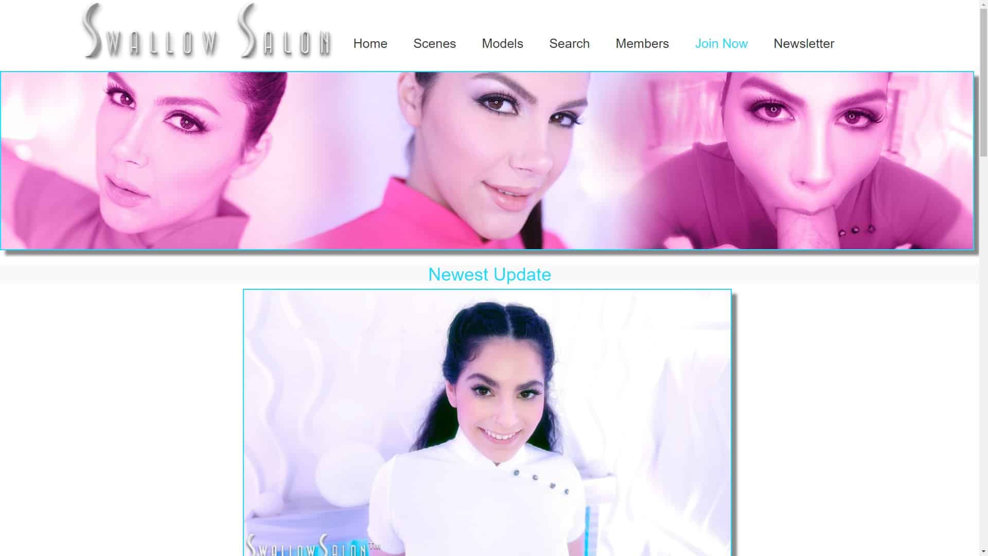 Screenshot of Swallow Salon