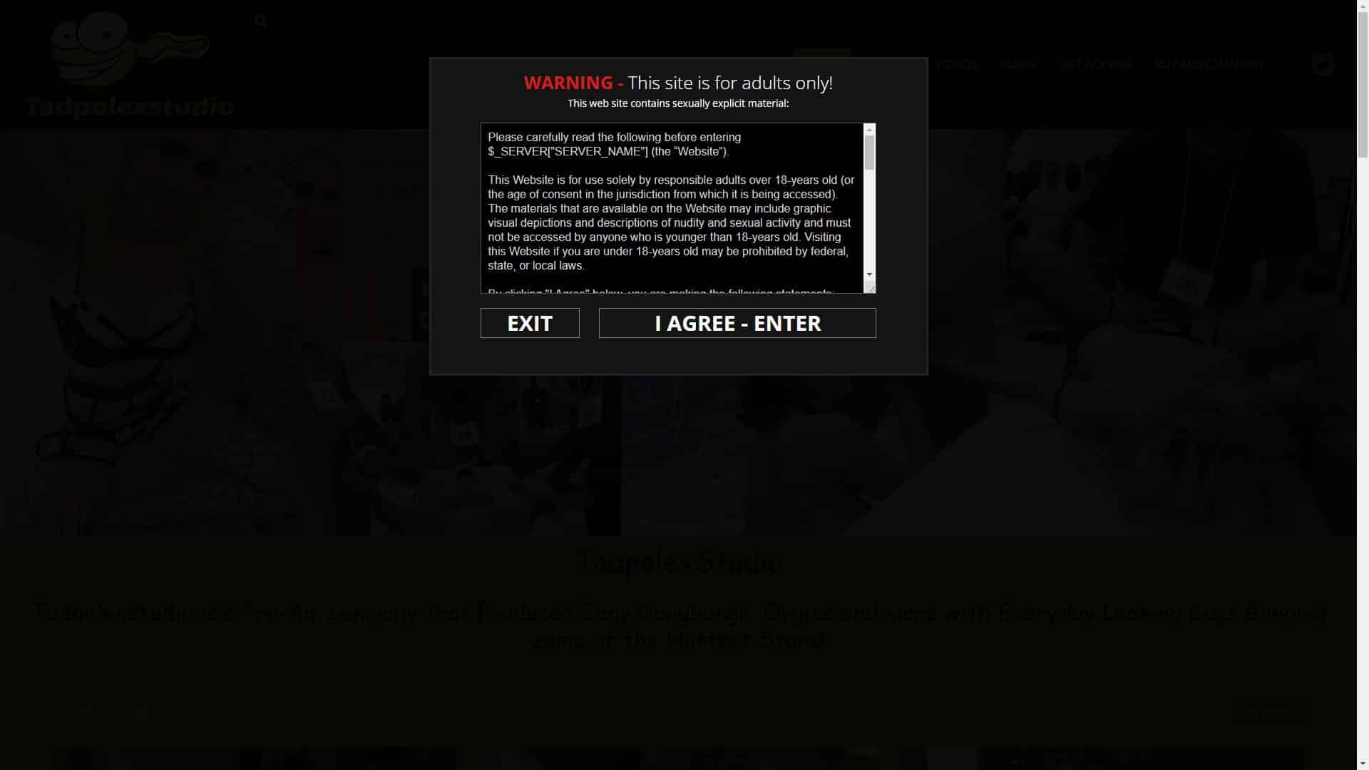 Screenshot of Tadpolexstudio