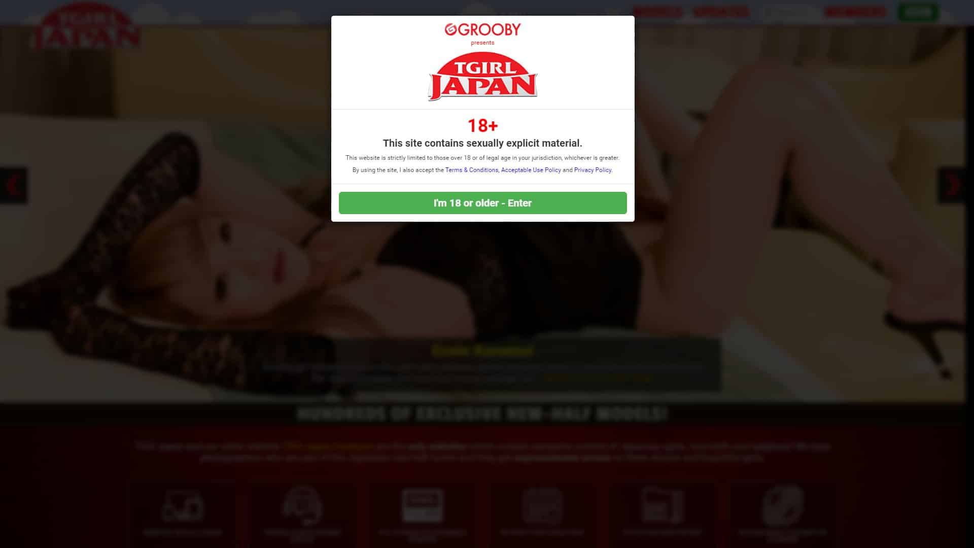 Screenshot of Tgirl Japan