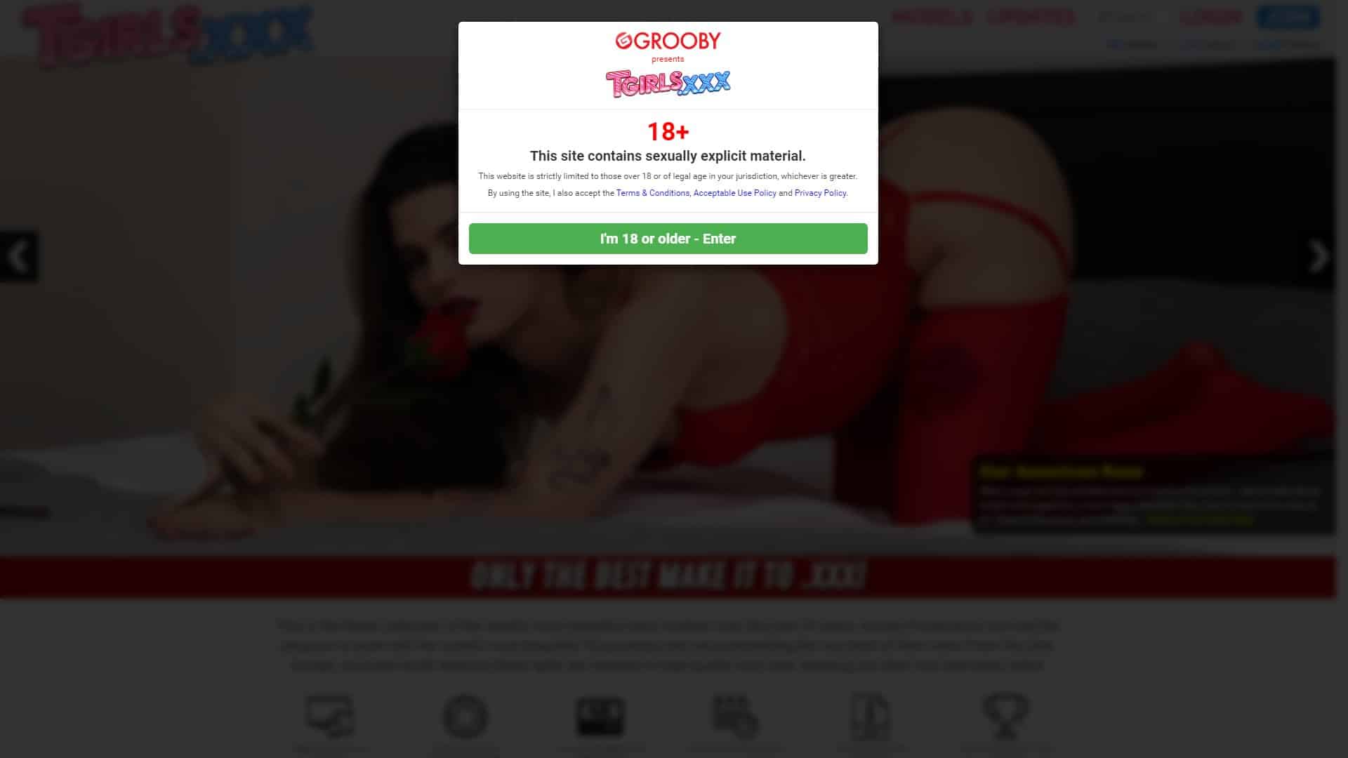 Screenshot of Tgirls.Xxx