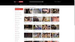 This is the : Theporny-homepage