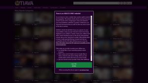 This is the : Tiava-homepage