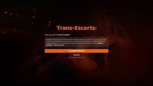 This is the : Trans-Escorts-homepage