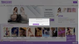 This is the : Tsmasseur-homepage