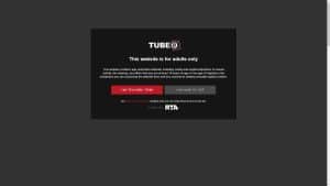 This is the : Tube8-homepage